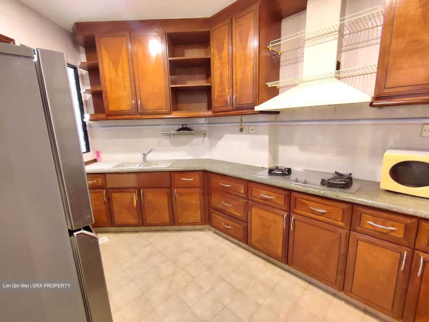 Dover Parkview (D5), Condominium #475190861